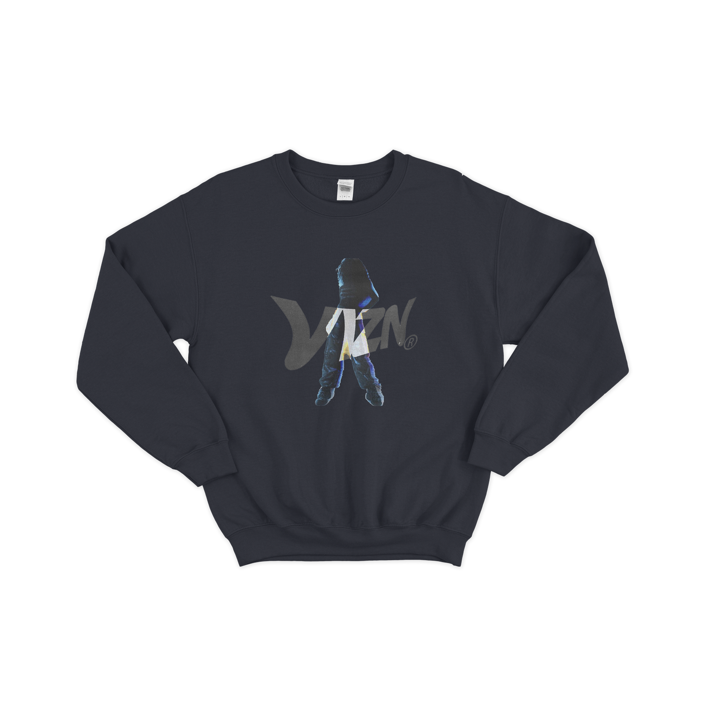 VIZN sweatshirt